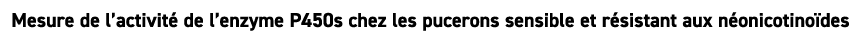 Mesure de l’activit de l’enzyme P450s chez les pucerons sensible et r sistant aux n onicotino des