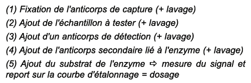 (1) Fixation de l'anticorps de capture (+ lavage) (2) Ajout de l' chantillon  tester (+ lavage) (3) Ajout d'un antic...