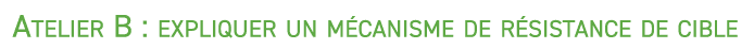 Atelier B : expliquer un m canisme de r sistance de cible 