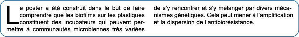 Le poster a t  construit dans le but de faire comprendre que les biofilms sur les plastiques constituent des incubat...