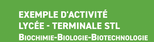  Exemple d'activit lyc e Terminale STL Biochimie Biologie Biotechnologie 