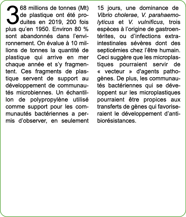 368 millions de tonnes (Mt) de plastique ont t  produites en 2019, 200 fois plus qu’en 1950. Environ 80 % sont aband...