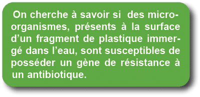 On cherche  savoir si des micro organismes, pr sents   la surface d’un fragment de plastique immerg  dans l’eau, son...