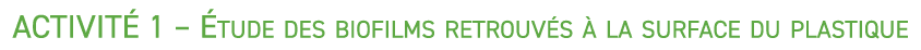 ACTIVIT 1 –  tude des biofilms retrouv s   la surface du plastique