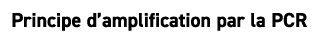 Principe d’amplification par la PCR