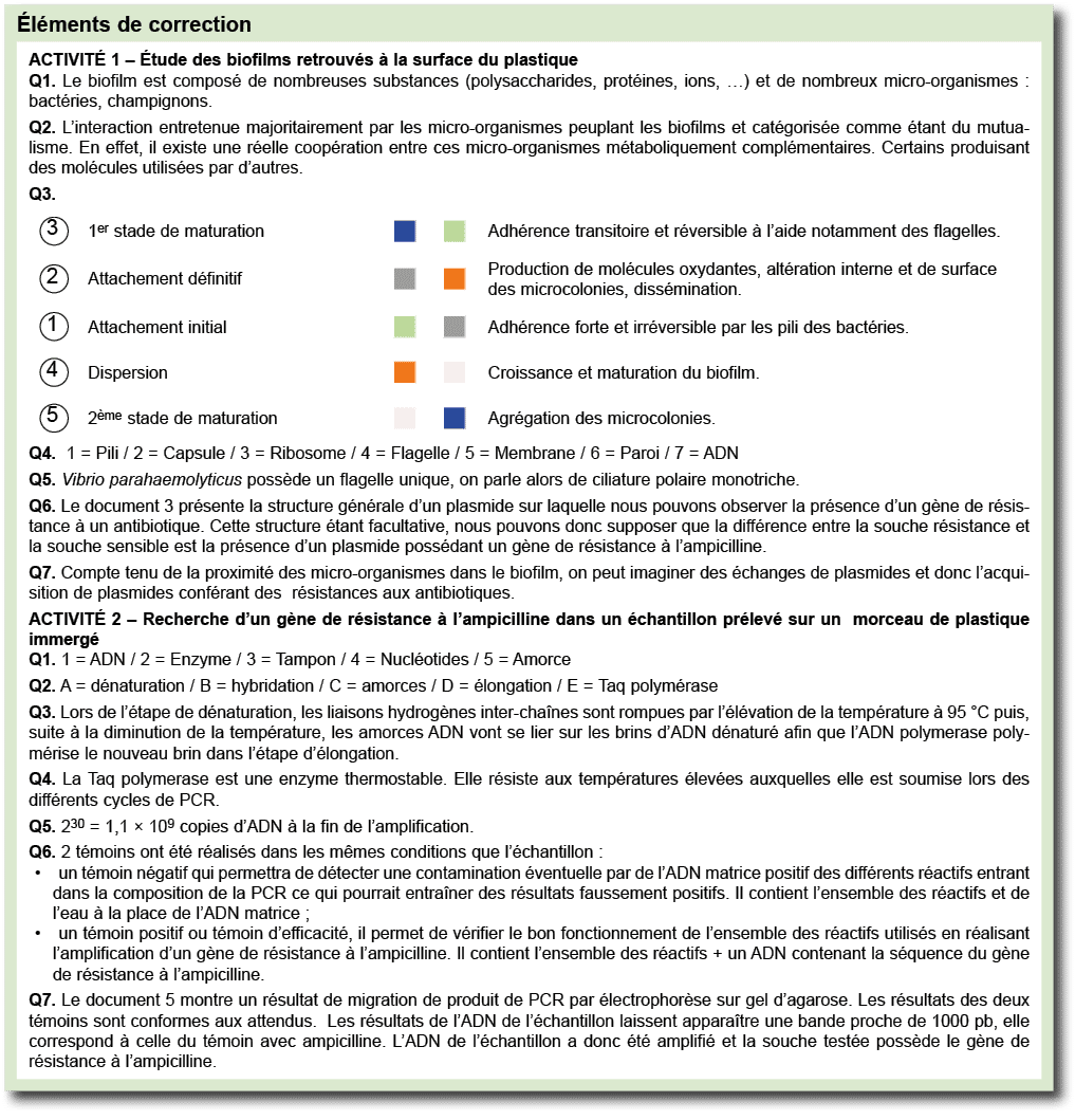  l ments de correction ￼