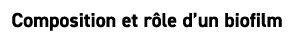 Composition et r le d’un biofilm