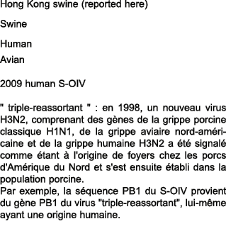 Hong Kong swine (reported here) Swine Human Avian 2009 human S OIV \“ triple reassortant \" : en 1998, un nouveau vir...