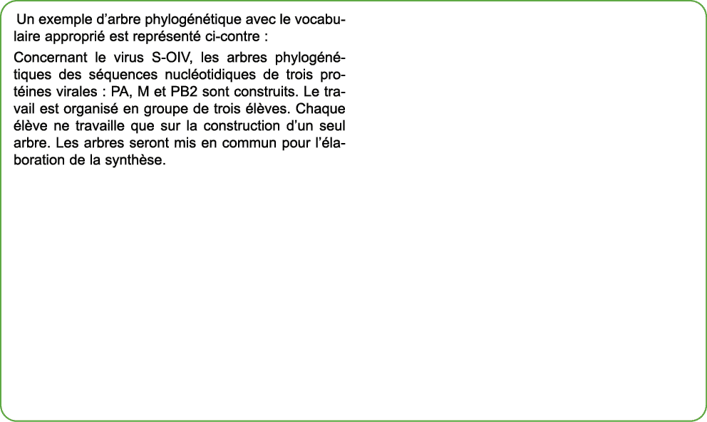 Un exemple d’arbre phylog n tique avec le vocabulaire appropri est repr sent  ci contre : Concernant le virus S OIV,...