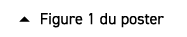  � Figure 1 du poster