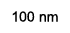 100 nm