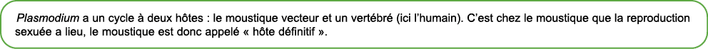 Plasmodium a un cycle  deux h tes : le moustique vecteur et un vert br  (ici l’humain). C’est chez le moustique que ...