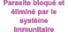Parasite bloqu et  limin  par le syst me immunitaire