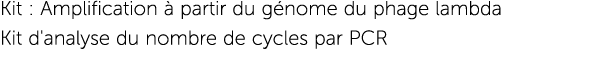 Kit : Amplification  partir du g nome du phage lambda Kit d'analyse du nombre de cycles par PCR 