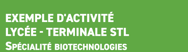  Exemple d'activit lyc e Terminale STL Sp cialit  biotechnologies
