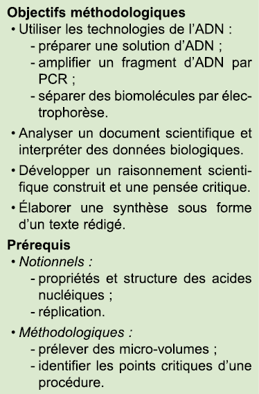 Objectifs m thodologiques • Utiliser les technologies de l’ADN : pr parer une solution d’ADN ; amplifier un fragment ...
