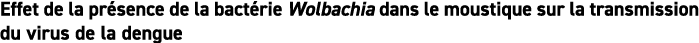 Effet de la pr sence de la bact rie Wolbachia dans le moustique sur la transmission du virus de la dengue