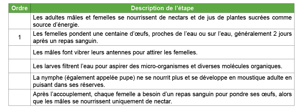 Ordre,Description de l’ tape,,Les adultes m les et femelles se nourrissent de nectars et de jus de plantes sucr es co...