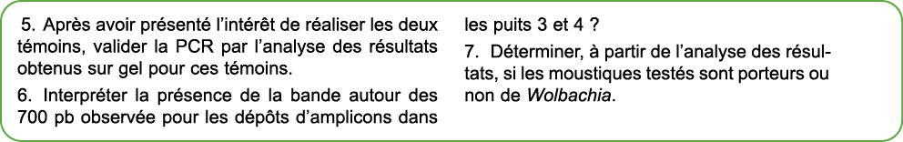 5. Apr s avoir pr sent l’int r t de r aliser les deux t moins, valider la PCR par l’analyse des r sultats obtenus su...