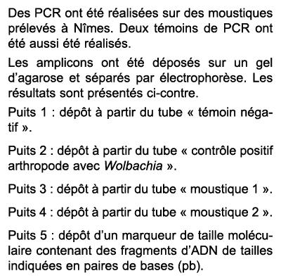 Des PCR ont t  r alis es sur des moustiques pr lev s   N mes. Deux t moins de PCR ont  t  aussi  t  r alis s. Les am...