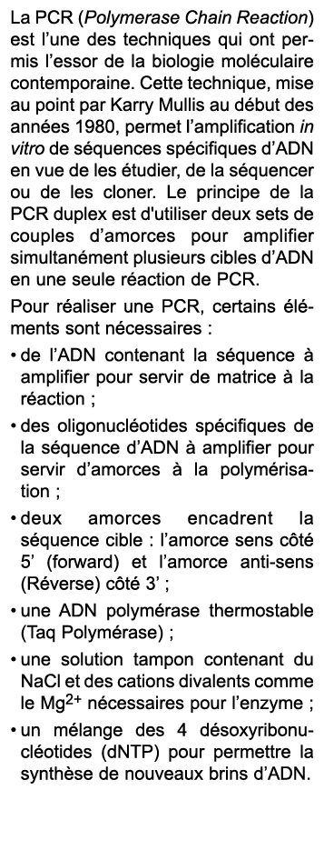 La PCR (Polymerase Chain Reaction) est l’une des techniques qui ont permis l’essor de la biologie mol culaire contemp...