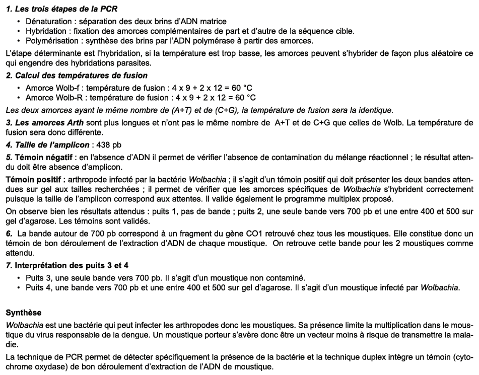 1. Les trois tapes de la PCR • D naturation : s paration des deux brins d’ADN matrice • Hybridation : fixation des a...