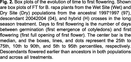 Fig  2  Box plots of the evolution of time to first flowering  Shown are box plots of FT for B  rapa plants from the    