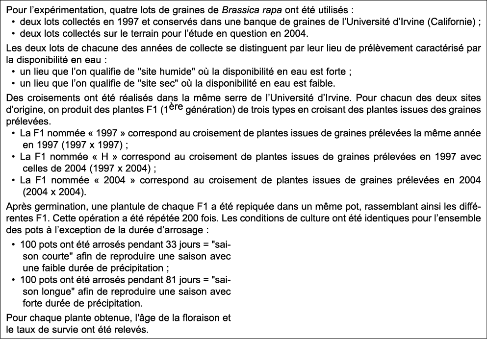 Pour l exp rimentation, quatre lots de graines de Brassica rapa ont  t  utilis s : deux lots collect s en 1997 et con   