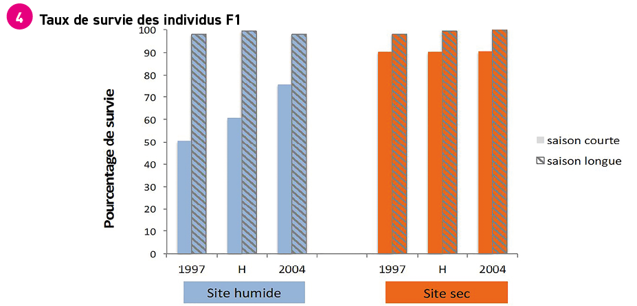 Taux de survie des individus F