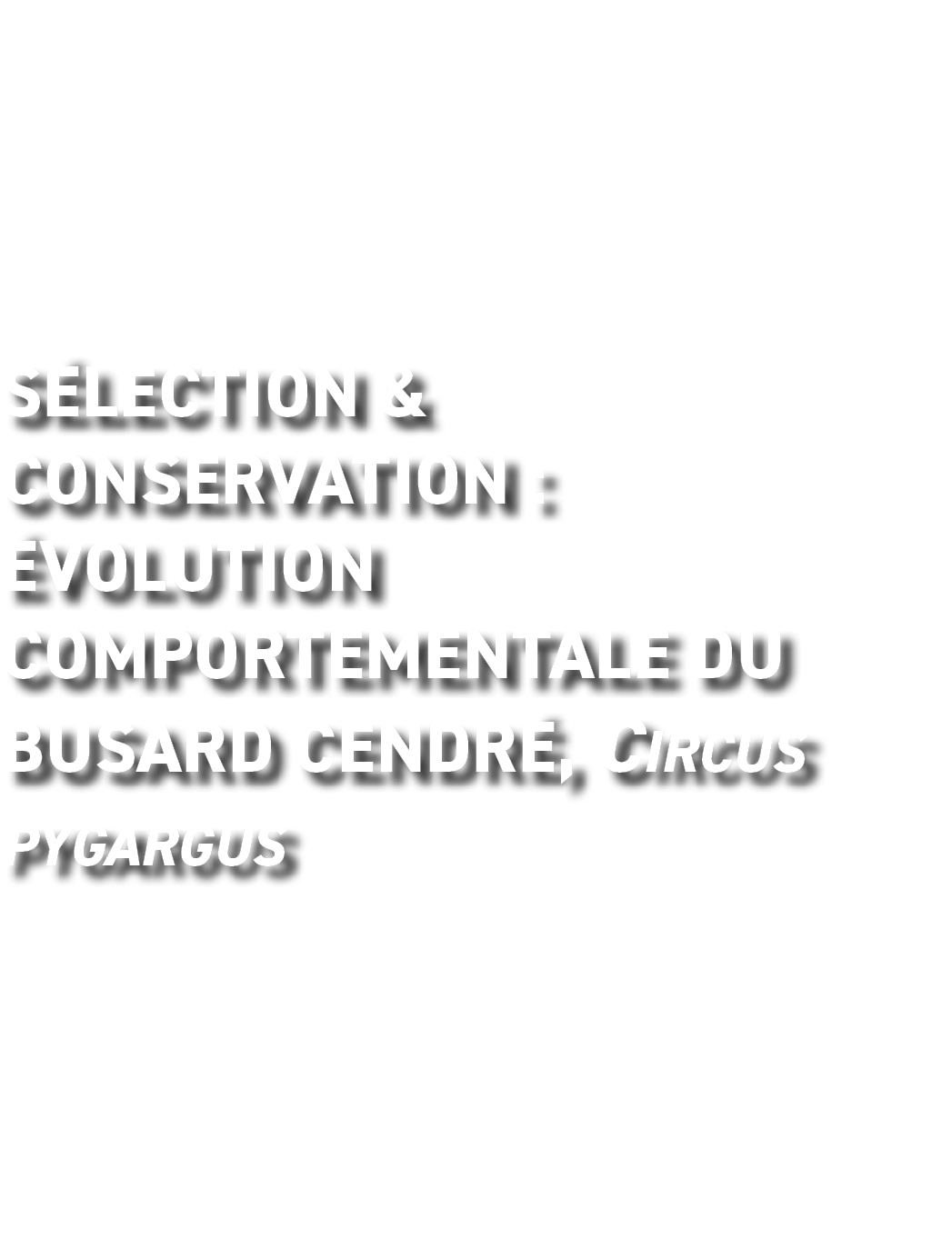 S lection & conservation :  volution comportementale du busard cendr , Circus pygargus