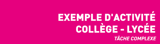  Exemple d'activit  Coll ge - lyc e T che complexe