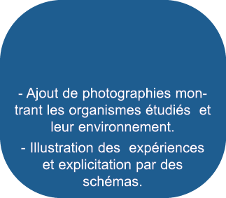 - Ajout de photographies montrant les organismes  tudi s et leur environnement  - Illustration des exp riences et exp   