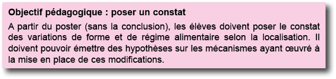 Objectif p dagogique : poser un constat A partir du poster (sans la conclusion), les  l ves doivent poser le constat    