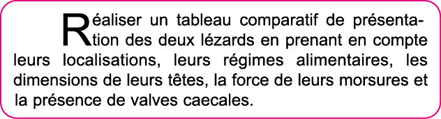 R aliser un tableau comparatif de pr sentation des deux l zards en prenant en compte leurs localisations, leurs r gim   