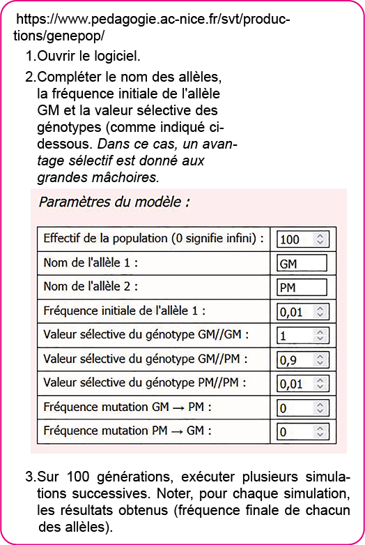 https:  www pedagogie ac-nice fr svt productions genepop  Ouvrir le logiciel  Compl ter le nom des all les, la fr que   