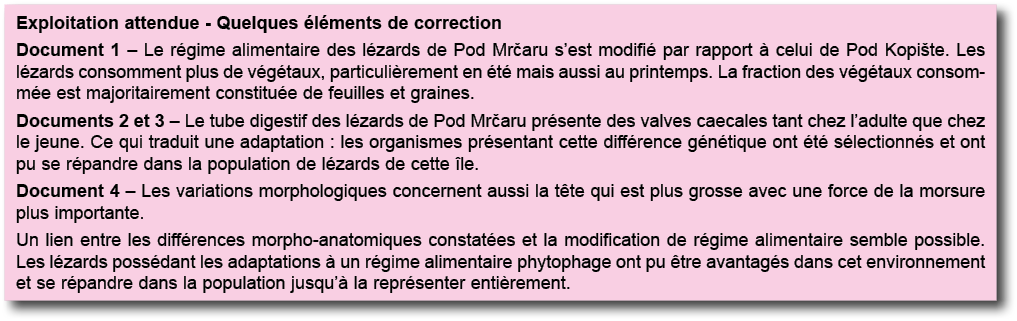 Exploitation attendue - Quelques  l ments de correction Document 1   Le r gime alimentaire des l zards de Pod Mr aru    