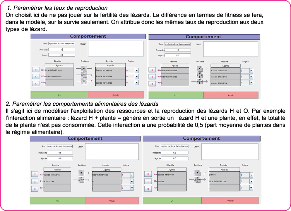 1  Param trer les taux de reproduction On choisit ici de ne pas jouer sur la fertilit  des l zards  La diff rence en    