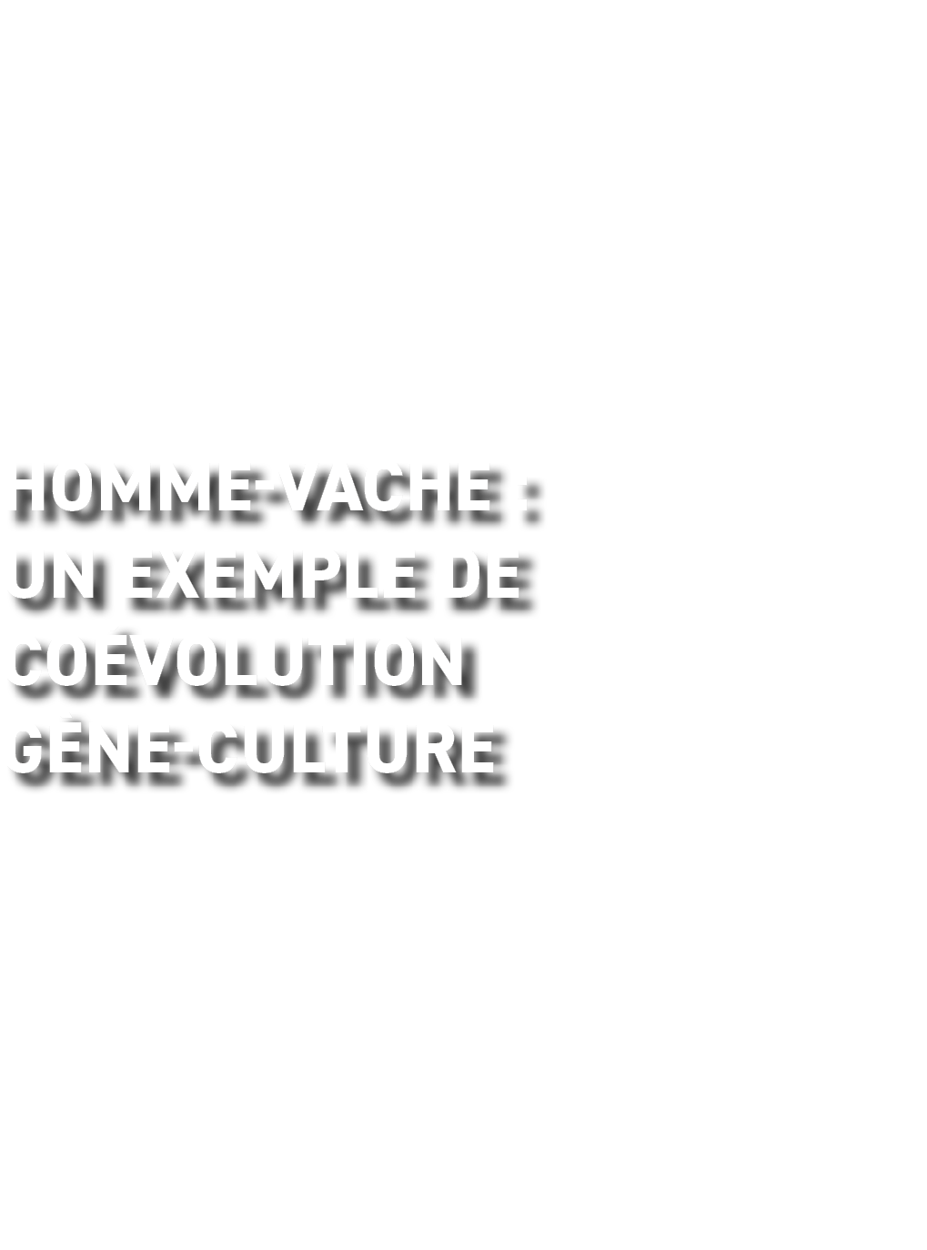 Homme-Vache : Un exemple de co volution g ne-culture