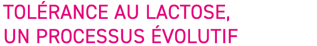 Tol rance au lactose, un processus  volutif 