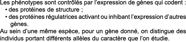 Les ph notypes sont contr l s par l expression de g nes qui codent : des prot ines de structure ; des prot ines r gul   