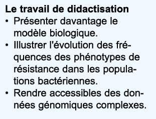 Le travail de didactisation Pr senter davantage le mod le biologique  Illustrer l' volution des fr quences des ph not   