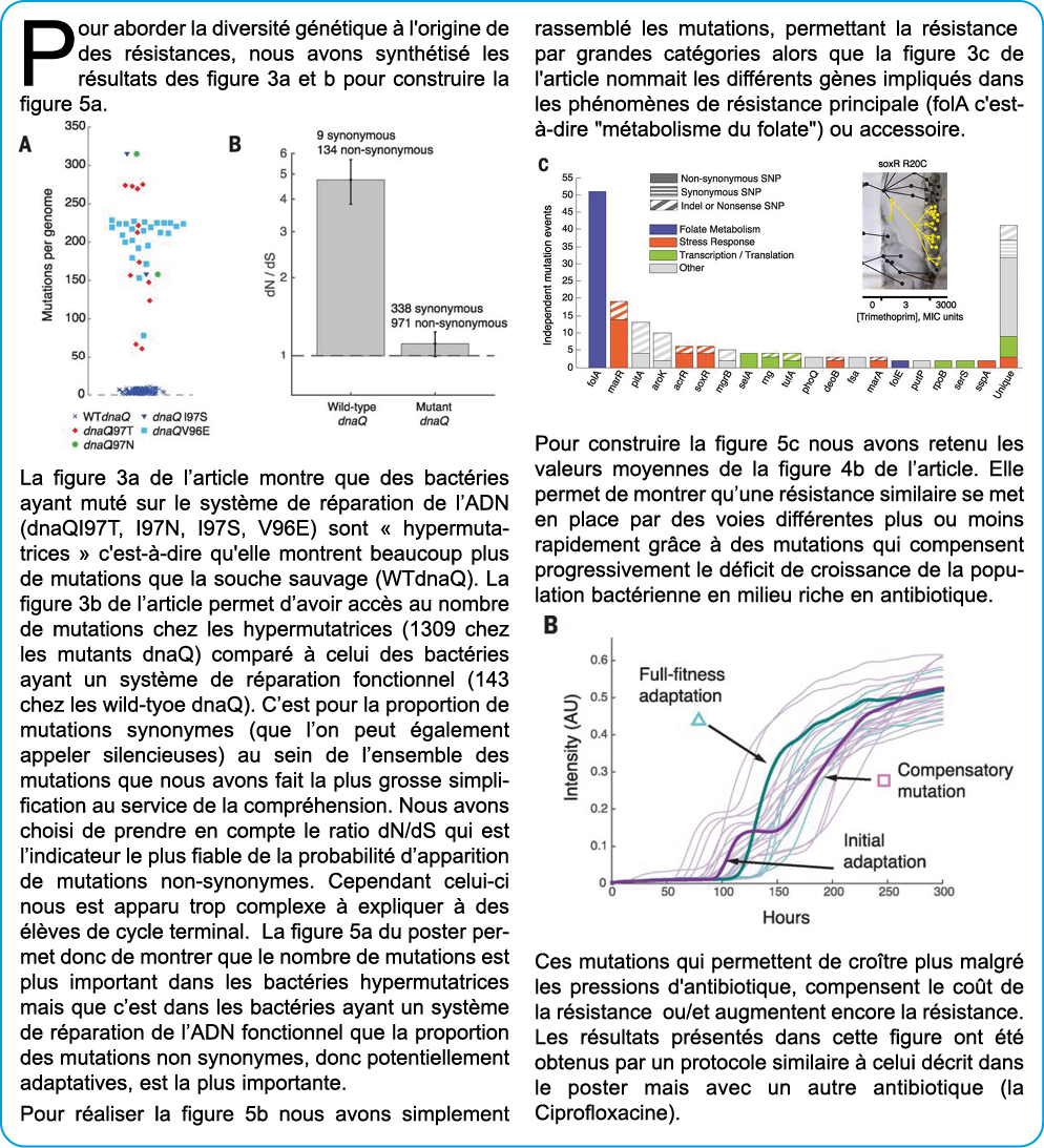 Pour aborder la diversit  g n tique   l'origine de des r sistances, nous avons synth tis  les r sultats des figure 3a   