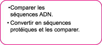 Comparer les s quences ADN  Convertir en s quences prot iques et les comparer 