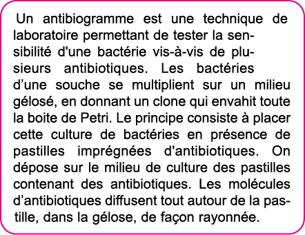 Un antibiogramme est une technique de laboratoire permettant de tester la sensibilit  d'une bact rie vis- -vis de plu   