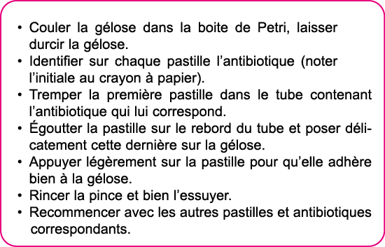  Couler la g lose dans la boite de Petri, laisser durcir la g lose  Identifier sur chaque pastille l antibiotique (no   