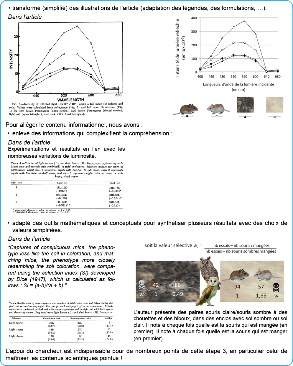   transform  (simplifi ) des illustrations de l article (adaptation des l gendes, des formulations,  )    Pour all ge   