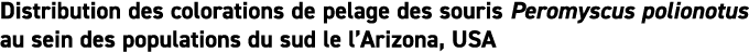 Distribution des colorations de pelage des souris Peromyscus polionotus au sein des populations du sud le l Arizona, USA
