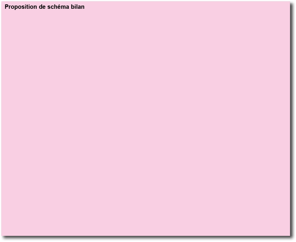 Proposition de sch ma bilan 