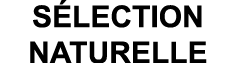 S LECTION NATURELLE