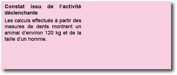 Constat issu de l activit  d clenchante Les calculs effectu s   partir des mesures de dents montrent un animal d envi   